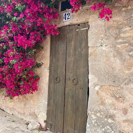 Idayvuelta & With Private Pool Guest house