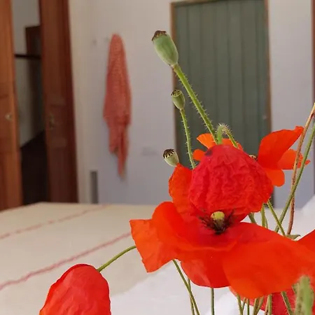 Idayvuelta & With Private Pool Guest house *