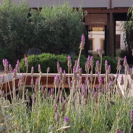 בית הארחה Idayvuelta & With Private Pool *